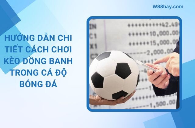 Huong Dan Cach Choi Keo Dong Banh Trong Ca Do Bong Da (1)